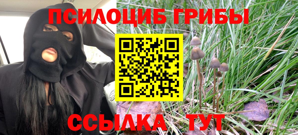 Зерноград  Псилоцибиновые грибы Magic Shrooms  Псилоцибиновые грибы GOLDEN TEACHER  Вход с VPN 