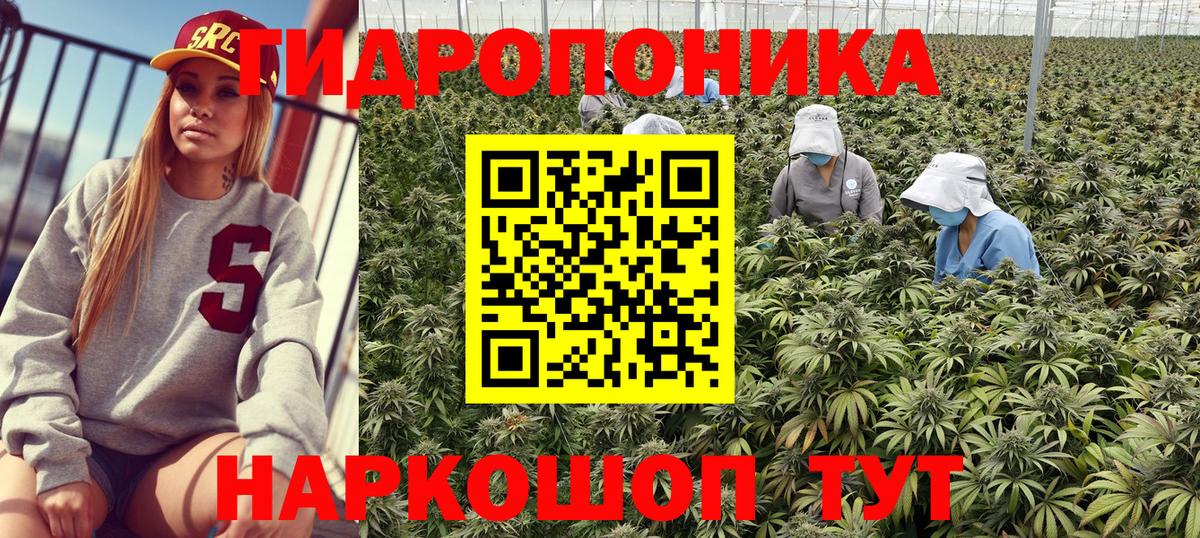 Зерноград  Конопля ГИДРОПОН  Вход с VPN  Марихуана AK-47  Марихуана тримм 
